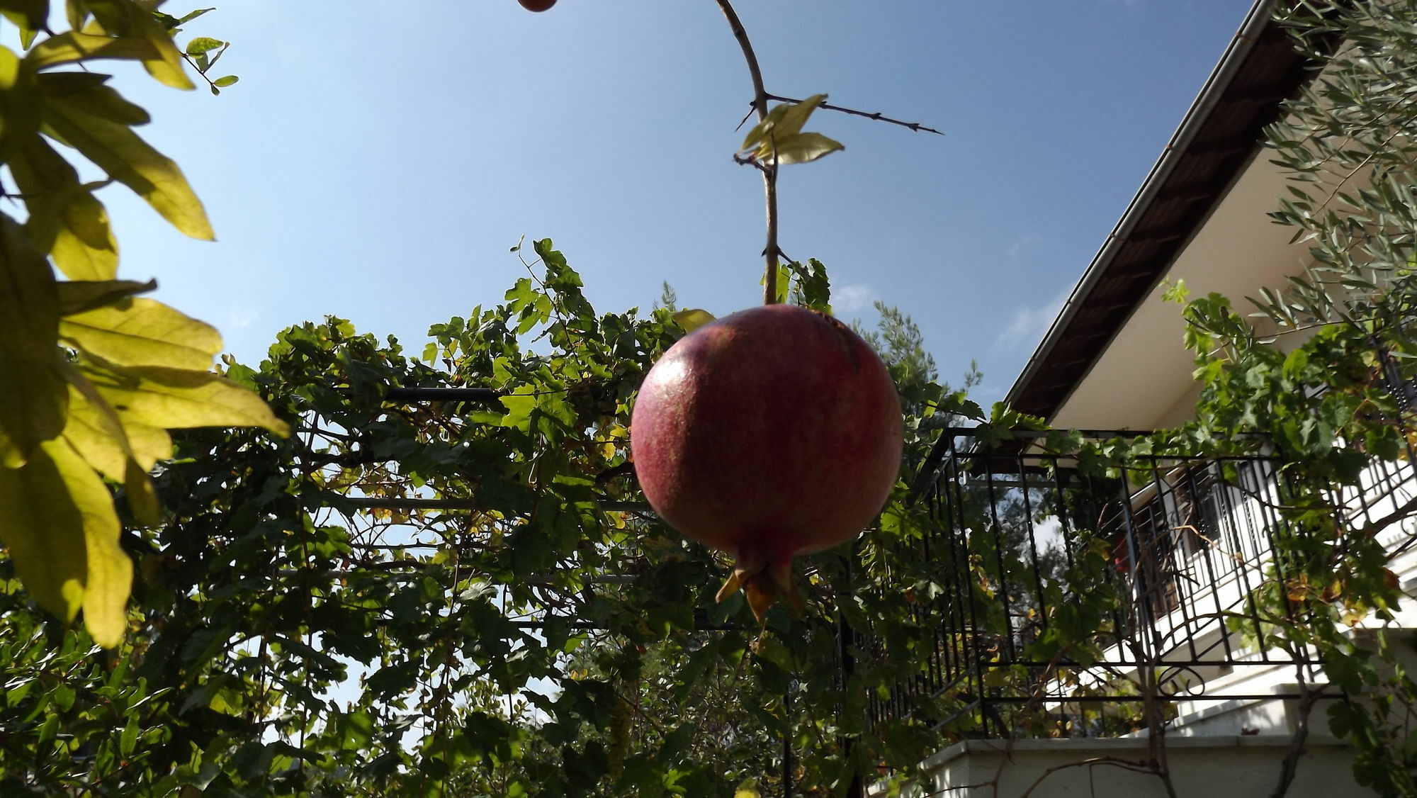 佩芙卡套房公寓 沃尔沃罗 外观 照片
